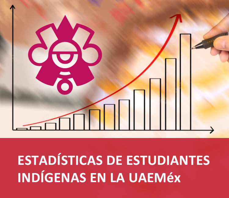 Estadística de estudiantes indígenas