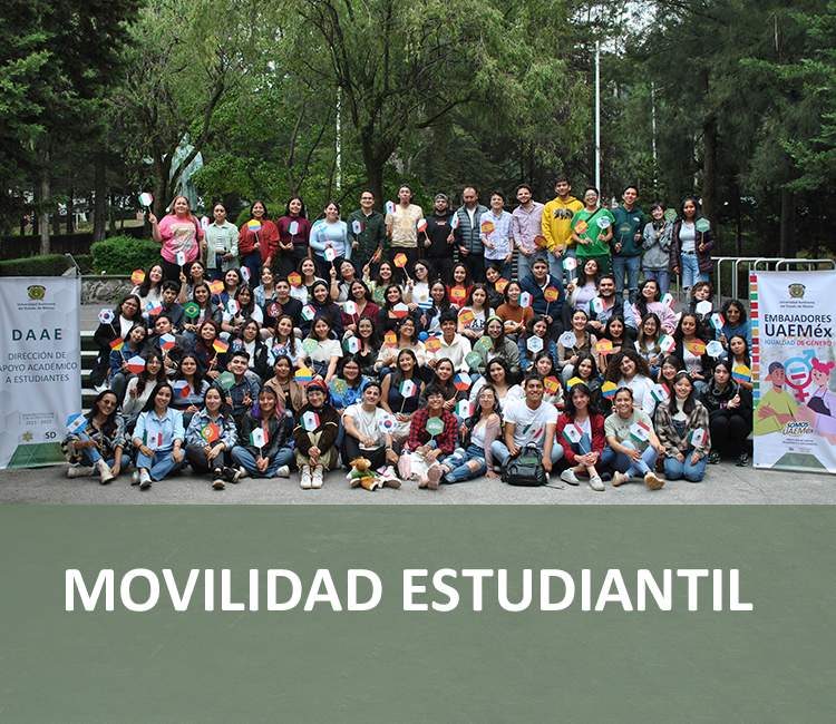 Programas Movilidad